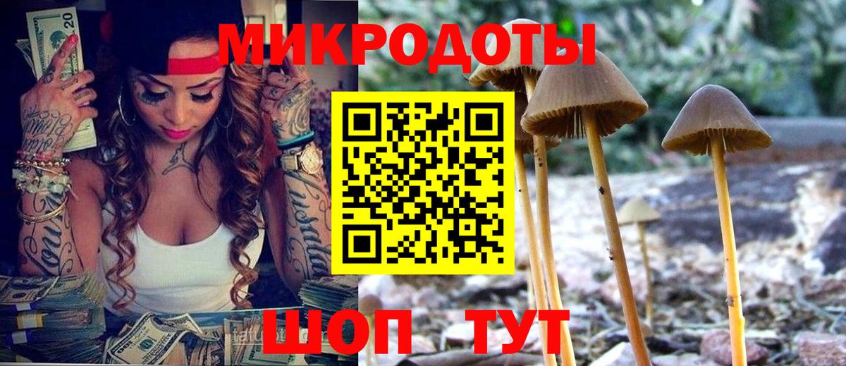 Псилоцибиновые грибы мицелий Алексин