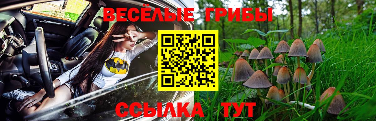 Галлюциногенные грибы Psilocybine cubensis  Галлюциногенные грибы Magic Shrooms  Вход с VPN  Алексин 