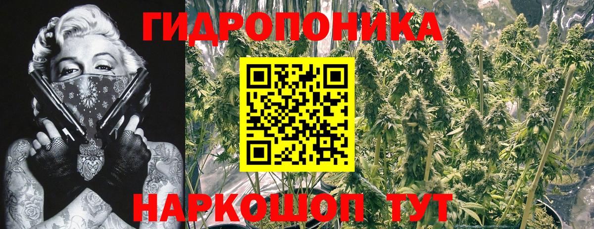Бошки Шишки семена  Бошки марихуана SATIVA & INDICA  Вход с VPN  Алексин 